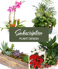 Assorted Plants - Monthly Subscription