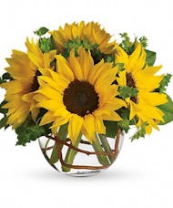 Sunflower Daydream