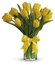 Sunny Yellow Vibrant Tulips